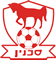Bnei Sakhnin