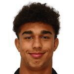 Dominic Vavassori